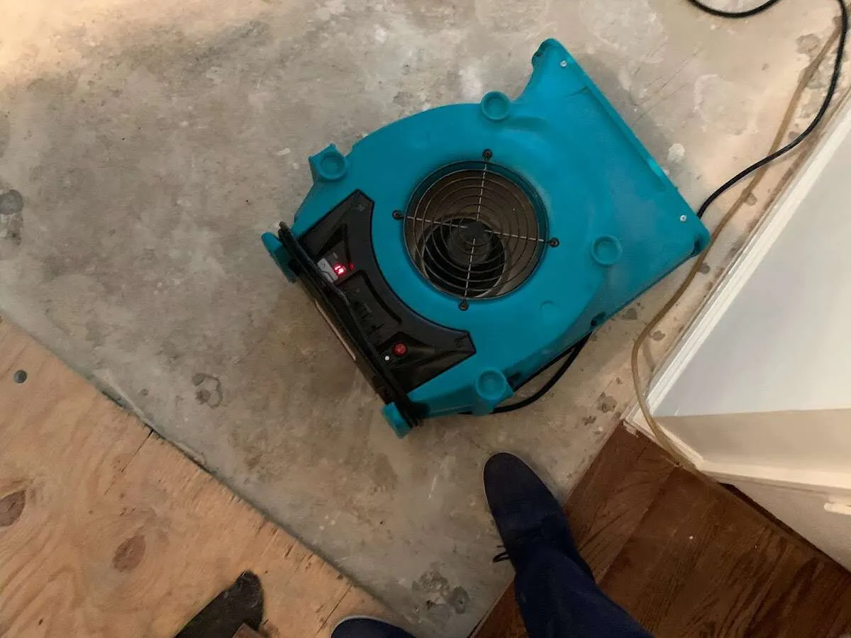 Air mover drying subfloor during Leak Detection & Repair in Kent